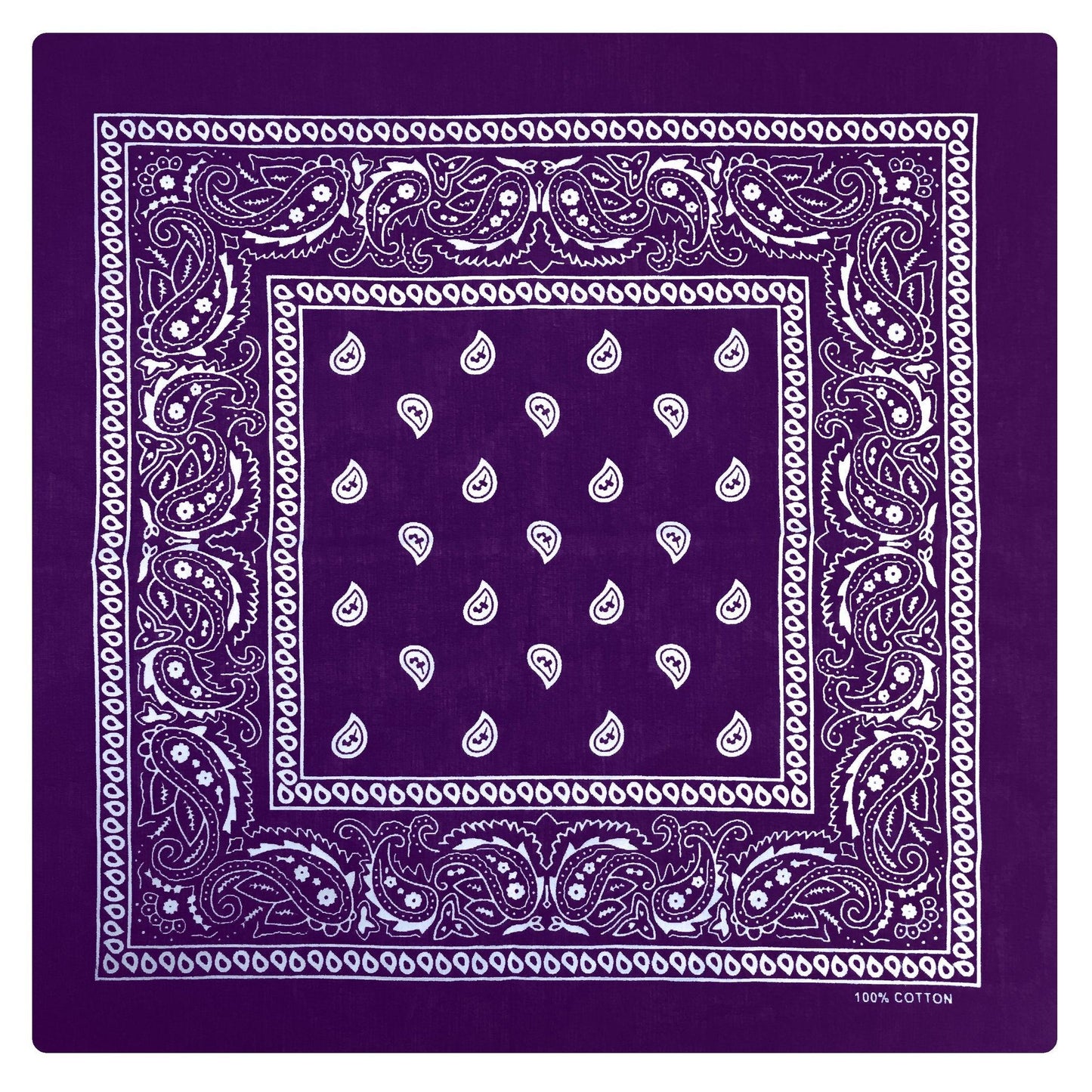 Hot Leathers Classic Purple Paisley Bandana - American Legend Rider