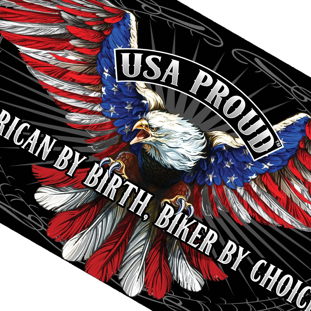 Hot Leathers FGA1069 American Flag Eagle Flag