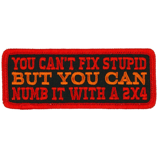 Hot Leathers 4" You Can't Fix Stupid Patch
