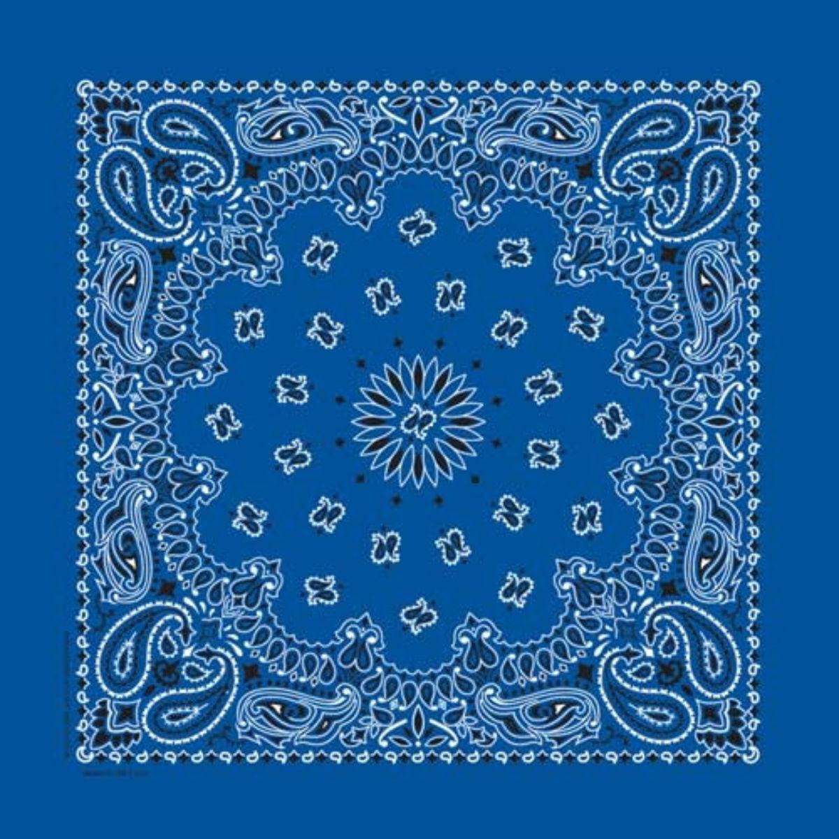 Daniel Smart Bandana Paisley,Unisex,Royal Blue - American Legend Rider