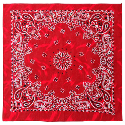 Hot Leathers Red Marble Paisley Design Bandana