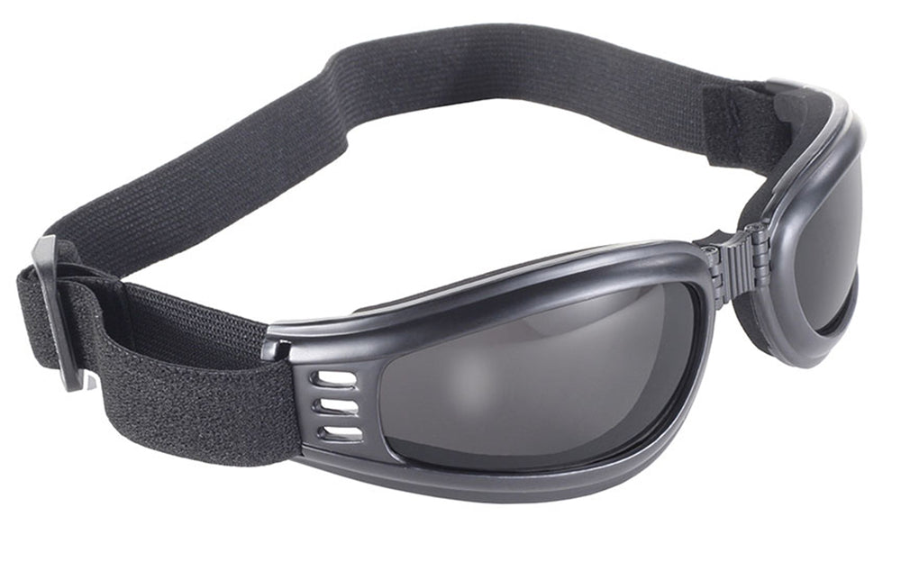 Daniel Smart Nomad Goggle Black Frame- Smoke Lens