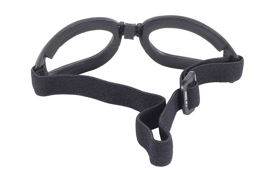 Daniel Smart Nomad Goggle Black Frame- Clear Lens