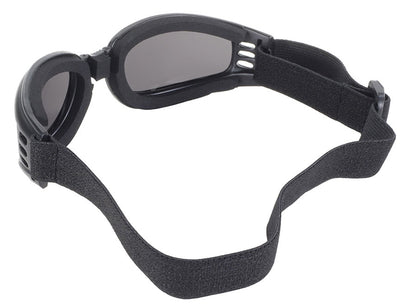 Daniel Smart Nomad Goggle Black Frame- Smoke Lens